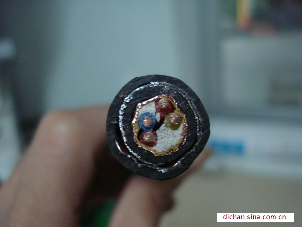 ZRC-kVVP2-22 450/750VϽ^|r(ji)