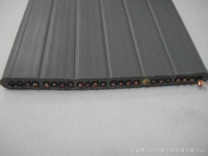 彈性體耐低溫探測控制扁平軟電纜 彈性體耐低溫探測控制扁平軟電纜