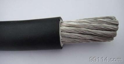 WDZ-DCYJ-125 500V 750V 1500V 3KVC(j)܇(ch)|